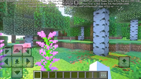 minecraft 1 21 81 gratis